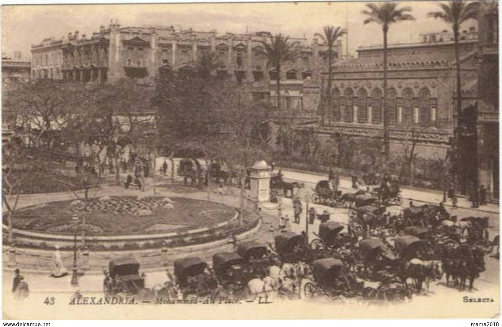 EGYPTE     Alexandrie   Attelages Calèches Sur Place  Mohamed Ali - Alexandria