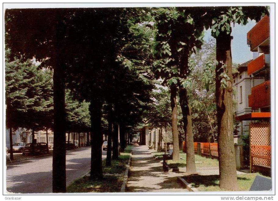 CODOGNO, VIALE RISORGIMENTO, VG 1991   **** - Lodi