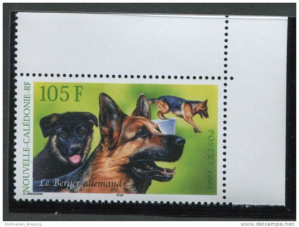 Neukaledonien 2003 - Nouvelle Caledonie 2003 - Michel 1314 - ** Mnh Neuf Postfris -  Schäferhund - Chien De Berger - Unused Stamps