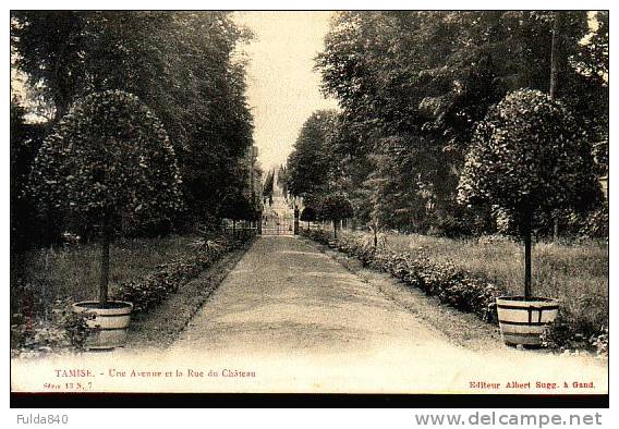 CPA .    TAMISE.    Une Avenue Et La Rue Du Chateau.       1902. - Temse