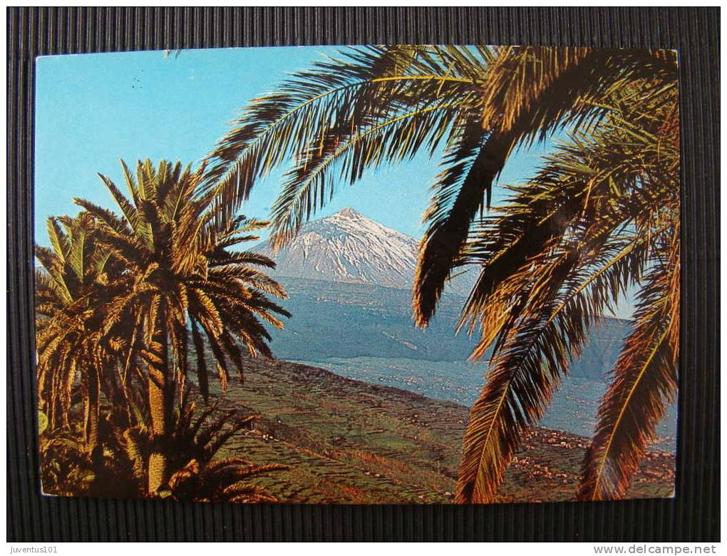 CPSM ESPAGNE-Canarias-Teide - Fuerteventura