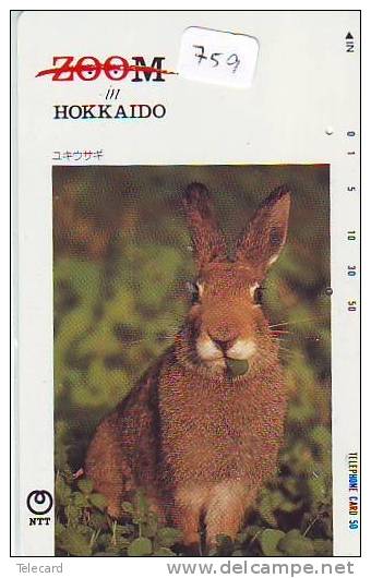 Télécarte Japon * LAPIN (759) RABBIT  * PHONECARD JAPAN * KANINCHEN * KONIJN * CONEJO - Konijnen