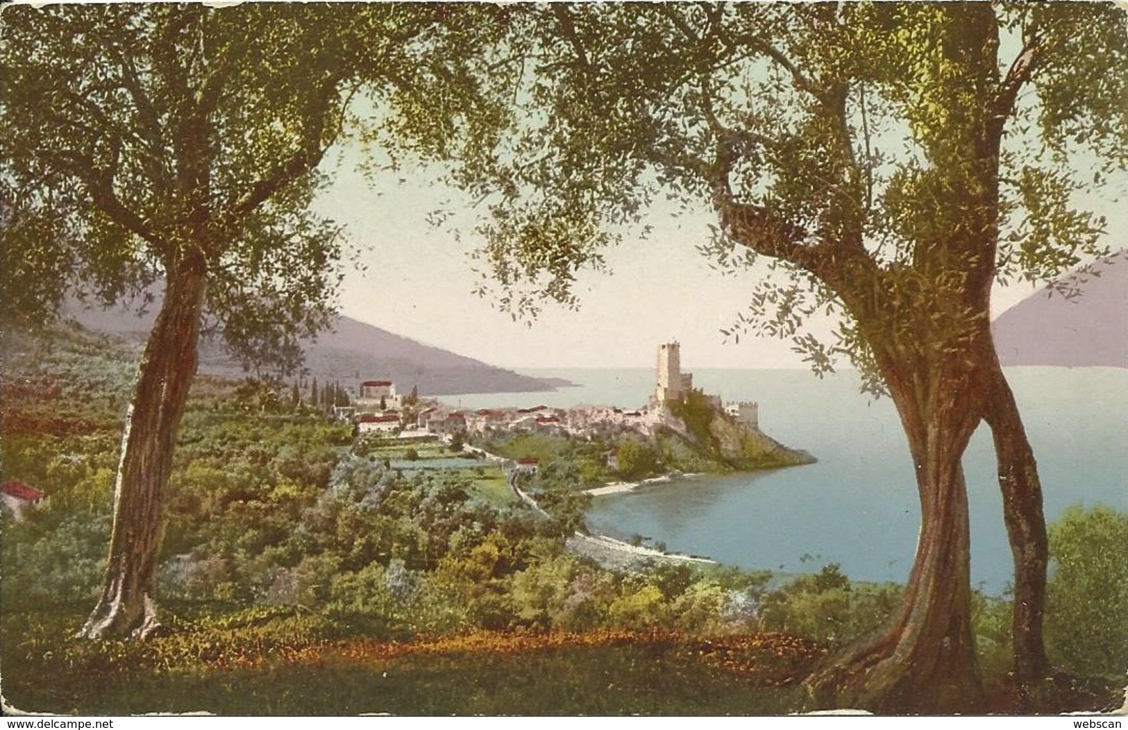 AK / CP Malcesine Gardasee Ortsansicht Color ~1910 #04 - Altri & Non Classificati