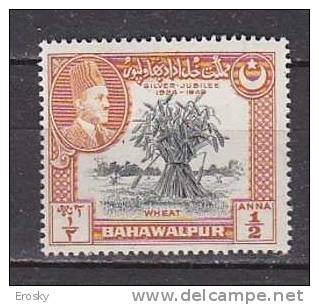 J3484 - BRITISH COLONIES BAHAWALPUR Yv N°18 ** - Bahawalpur