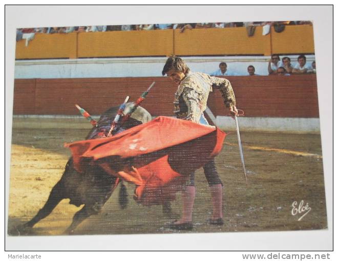 M693 -  Corrdira Passe De Muleta Torero Taureaux Taureau 3 (  Soyez Le 1 Er - Vente Directe  ) - Stieren