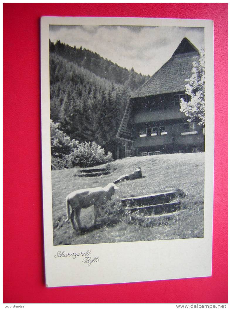 CPA OU CPSM -ALLEMAGNE- SCHWARZWALD IDYLLE - PHOTO RECTO / VERSO-NON VOYAGEE-CARTE EN BON ETAT  . - Gutach (Schwarzwaldbahn)