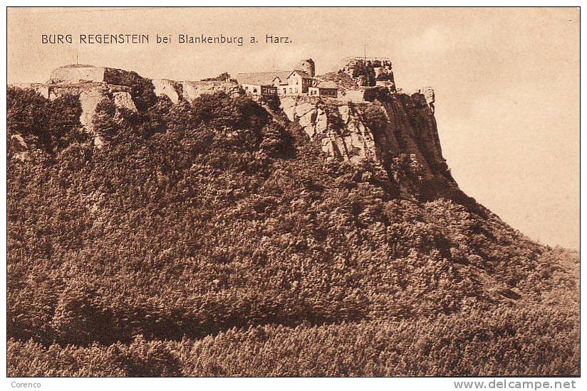 4941  BURG  REGEINSTEIN  écrite - Blankenburg