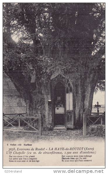 La Haye De Routot - L'If Chapelle  : Achat Immédiat - E. Mellet - Routot