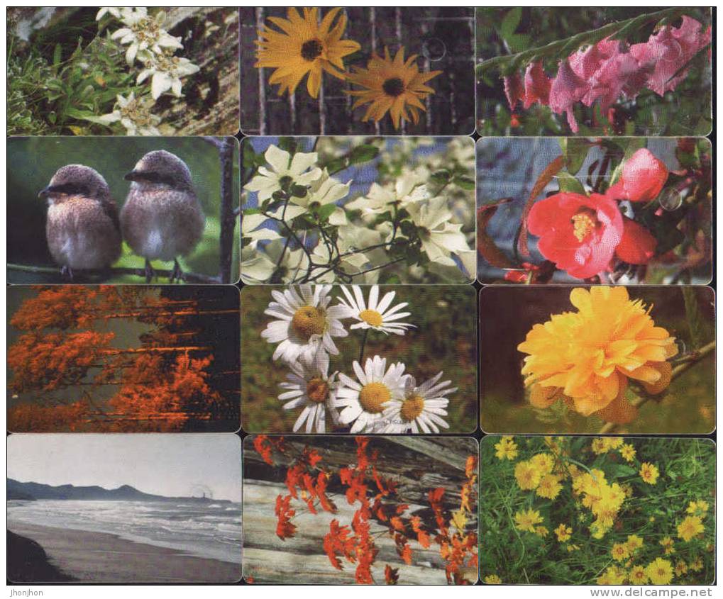 Roumanie-Telecartes-Lot de 60 telecartes avec: fleurs,l´art,sports et d´autres.