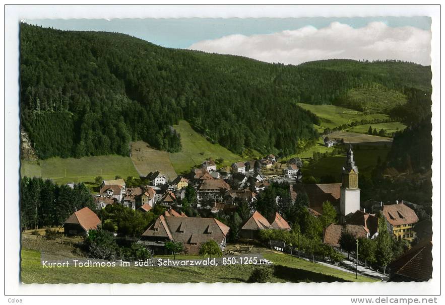 Kurort Todtmoos Im Südl Schwarzwald - Todtmoos