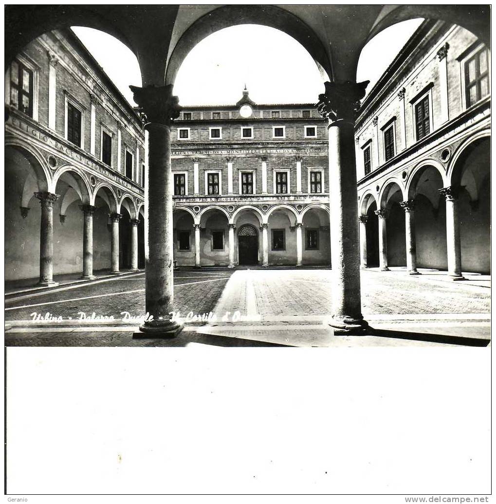URBINO  PALAZZO DUCALE VIAG - Urbino