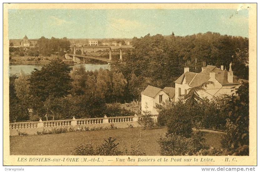 Les Rosiers-sur-Loire - Vue Des Rosiers Et Le Pont Sur La Loire - Autres & Non Classés