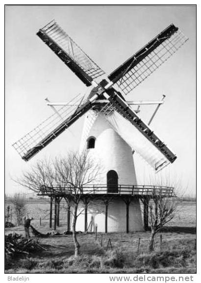 OUD-VOSSEMEER (Zeeland) - Molen/moulin - Stellingmolen De Jager Opgezeild En In Werking. PRACHTKAART Uit 1994! - Tholen