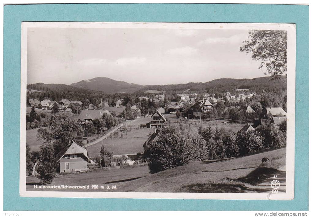 HINTERZARTEN  -  Schwarzwald  900 M  O. M.  -1953  -  CARTE PHOTO  - ( Timbre Enlevé ) - Hinterzarten