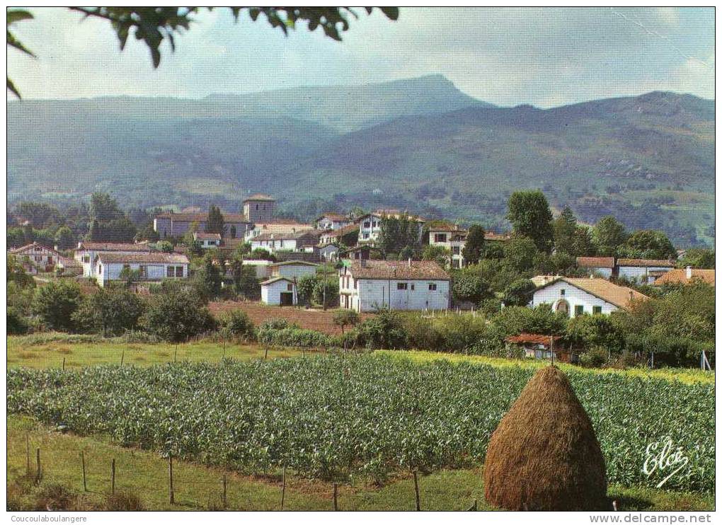 ASCAIN - Vue Générale, Au Fond La Rhune - Ascain