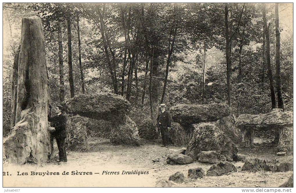 COURBEVOIE LES BRUYERES DE SEVRES (92) Dolmens Pierres Druidiques Beau Plan - Courbevoie