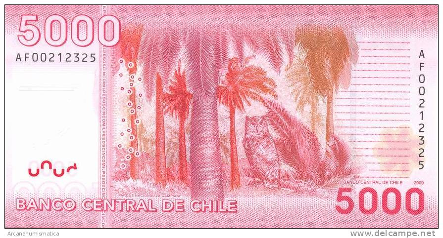 CHILE   5.000  PESOS  2.009  2009   SC/UNC/PLANCHA     DL-9730 - Cile