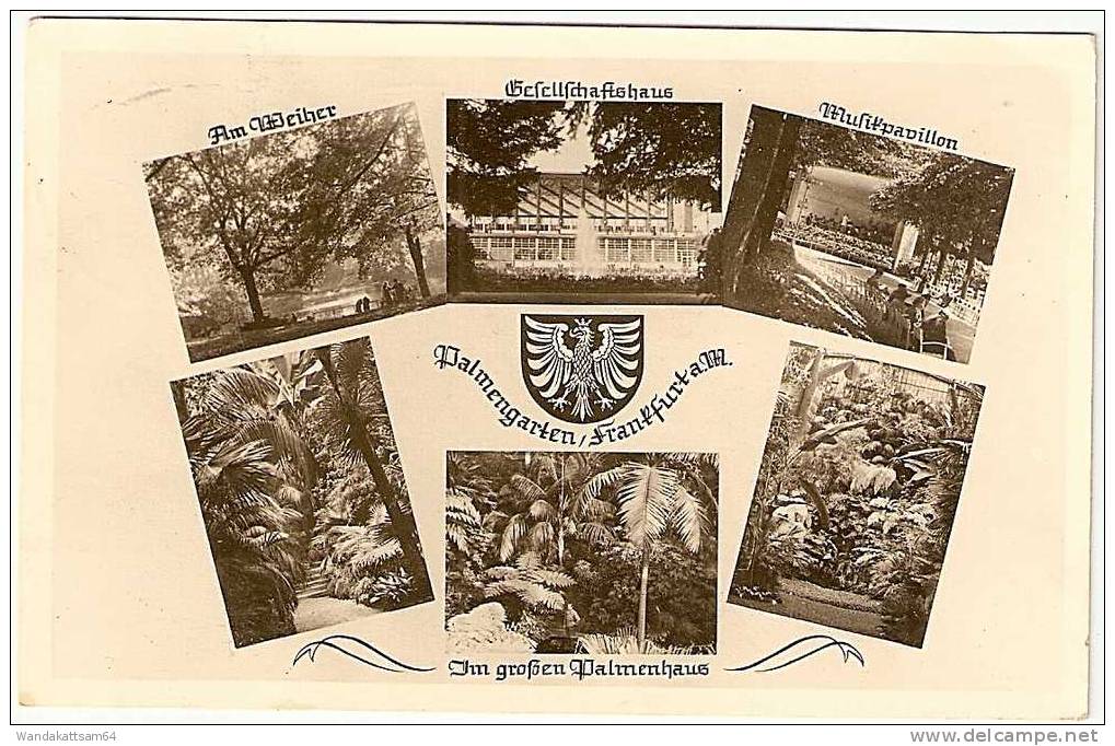 AK 25 Palmengarten / Frankfurt A. M. Am Weiher Gesellschaftshaus Musikpavillon Mehrbild 6 Bilder Mit Wappen 28.7.53 (16) - Lübeck-Travemuende