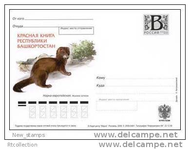 Russia 2009 - The Red Book Of Republic Bashkortostan European Mink Fauna Animal Nature Postcard NEW - Other & Unclassified