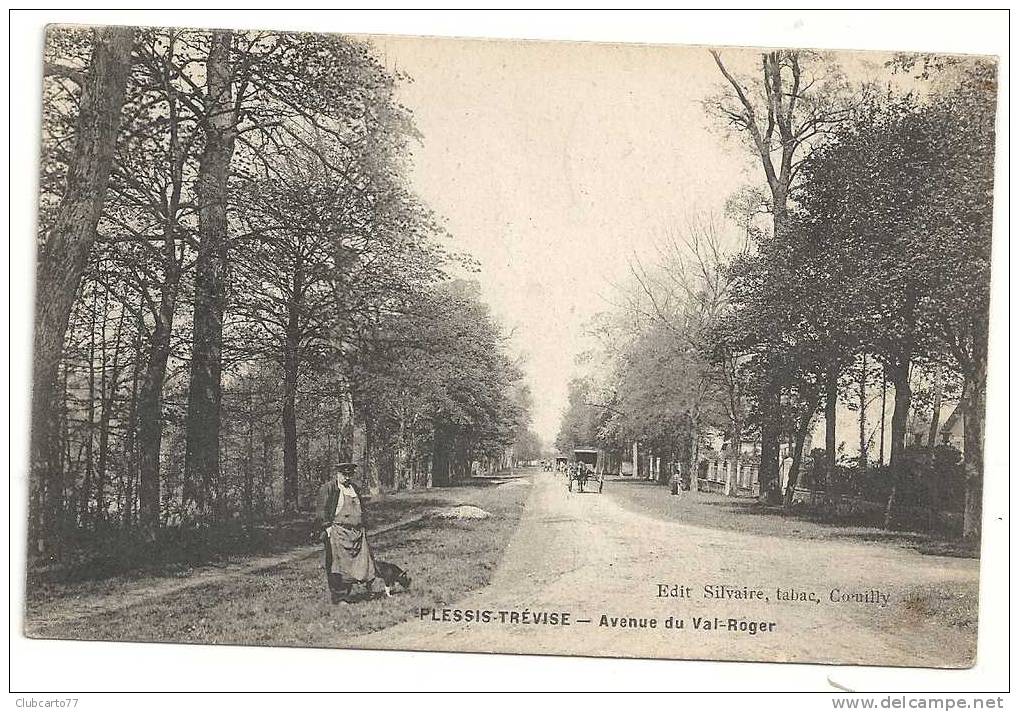 Le Plessis-trevisse (94) : La Route En Lisière De Forêt Avenue Du Val Roger, Villas à D,  Env 1917 (animée, Attelage). - Le Plessis Trevise