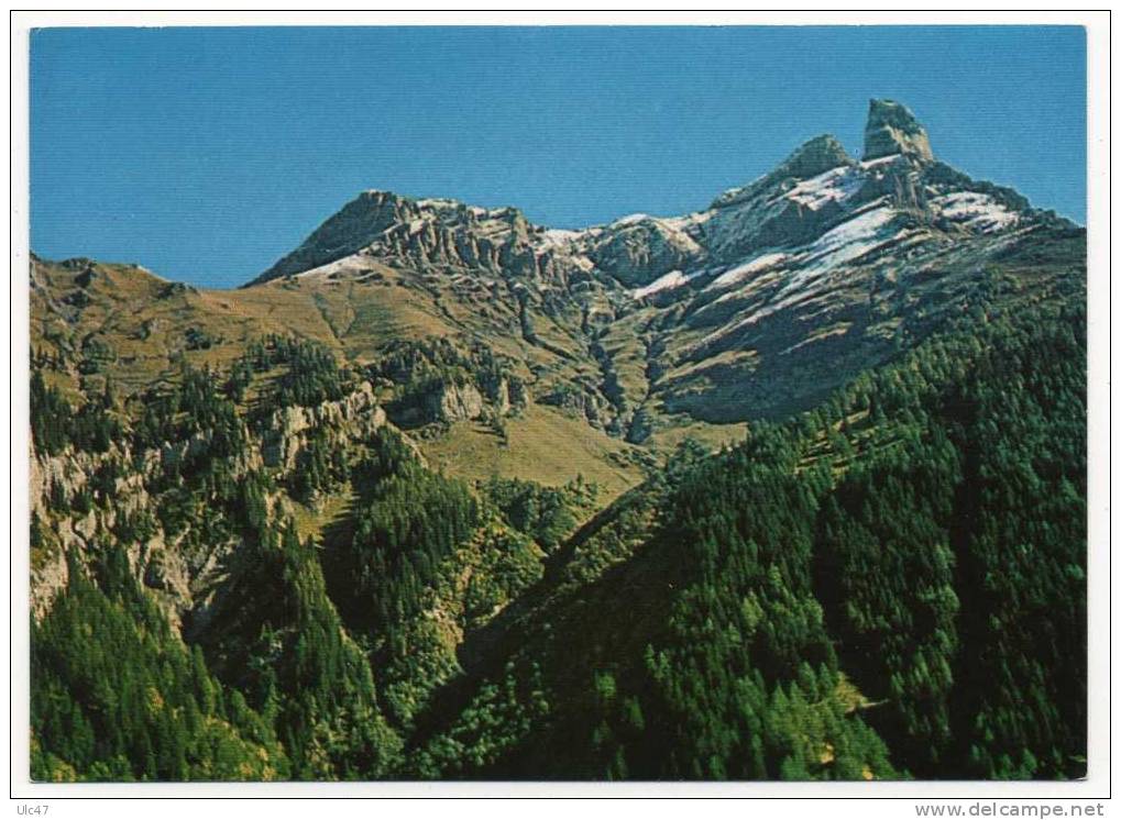 - Valais - Petite Dent De Morcles, Alt. 2939m - Pointe Du Martinet Et Roc Champion - - Saint-Martin