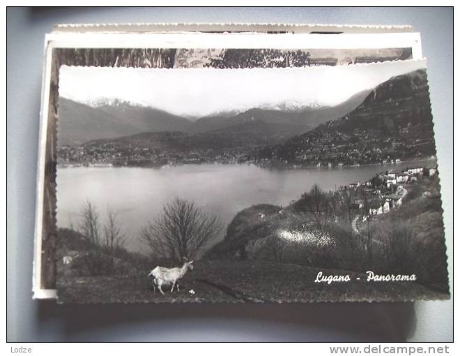 Zwitserland Suisse Schweiz TI  Lago Di Lugano Und Stadt Panorama Geiss - Lugano