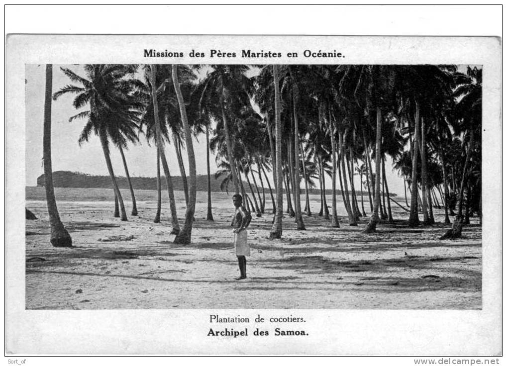 ARCHIPEL DES SAMOA - PLANTATIONS DE COCOTIERS - A337 - Samoa