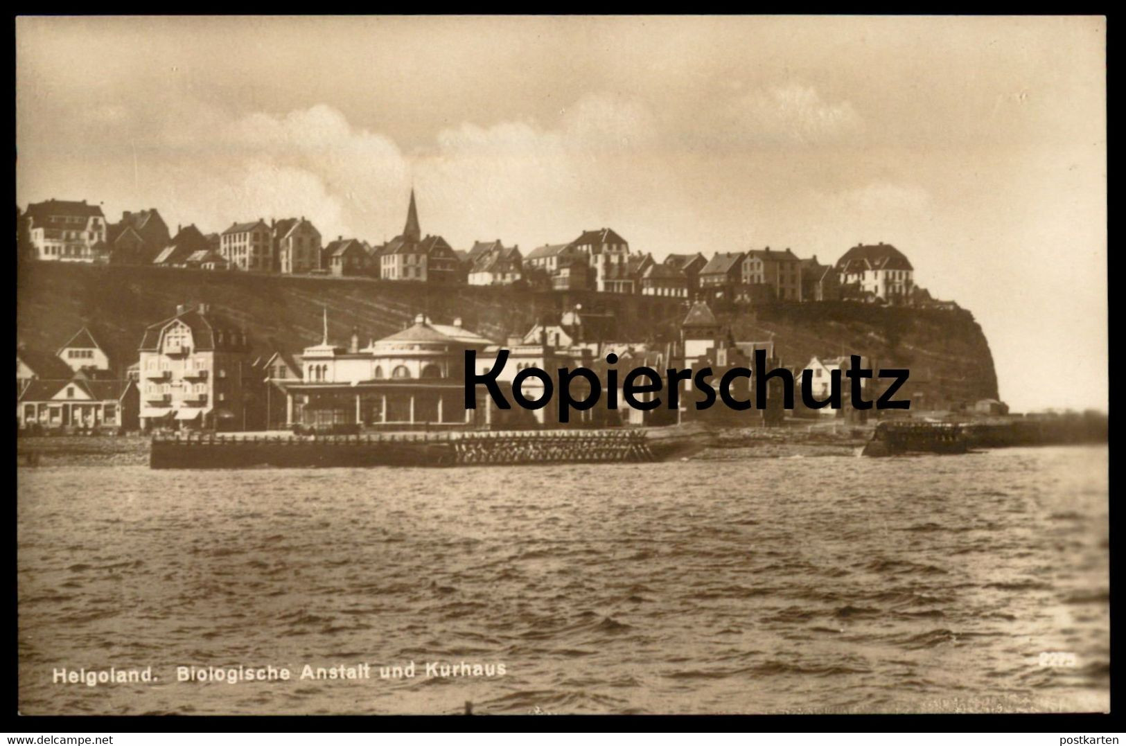 ALTE POSTKARTE INSEL HELGOLAND BIOLOGISCHE ANSTALT UND KURHAUS Biologie Ansichtskarte AK Cpa Postcard - Helgoland