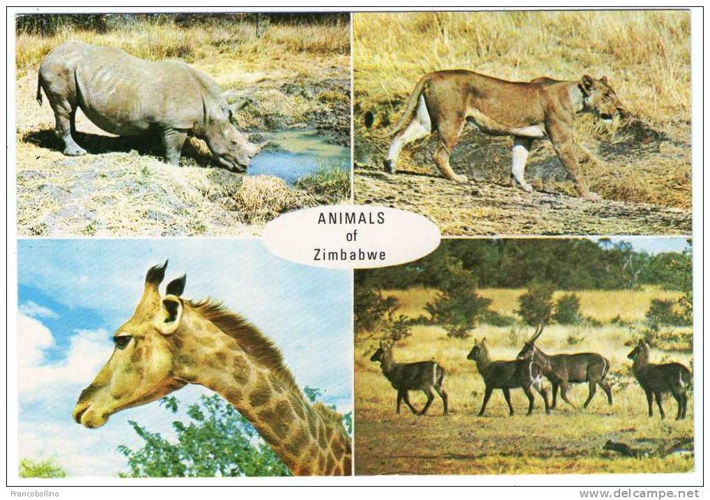 ZIMBABWE  - ANIMALS / RHINO - THEMATIC STAMP - Simbabwe