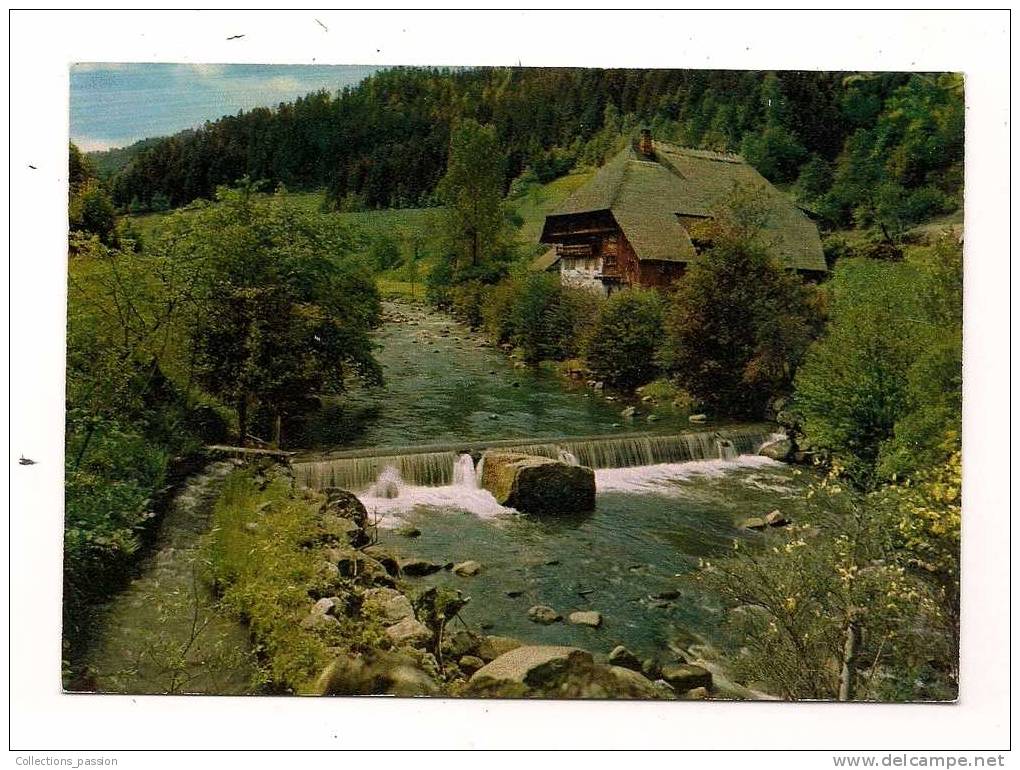 Cp , ALLEMAGNE , Schwarzwald Idyll An Der Gutach , écrite - Todtmoos