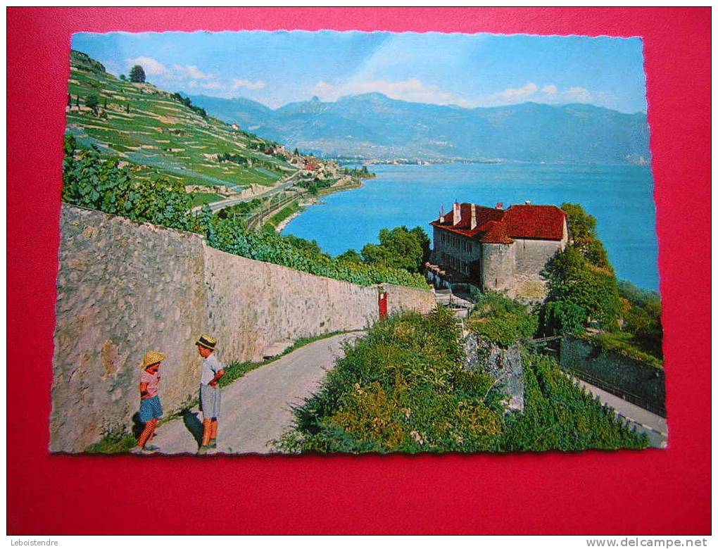 CPSM-SUISSE-LE LAVAUX (LAC LEMAN ) LE CHATEAU DE GLEROLLES PRES RIVAZ -ANIMEE ENFANTS-PHOTO RECTO /VERSO- - Rivaz