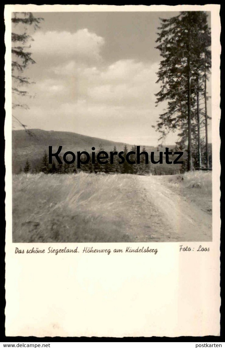 ALTE POSTKARTE DAS SCHÖNE SIEGERLAND HÖHENWEG AM KINDELSBERG Bei Kreuztal Foto Loos Cpa Postcard AK Ansichtskarte - Kreuztal