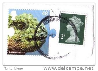 Sur Fragment - Reine - Darwin - Caméléon - (D - Libre) - Non Classés