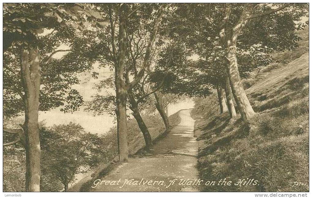 Britain United Kingdom - Great Malvern Walk On The Hills - Old Postcard [P1780] - Autres & Non Classés