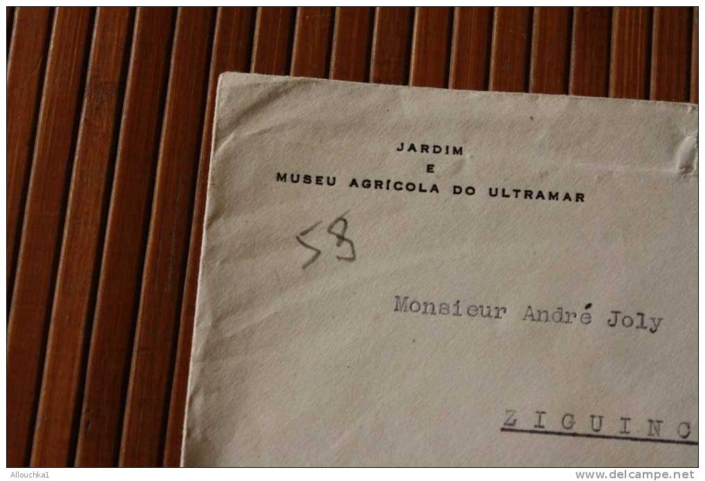 PORTUGAL > Algés  AVIAO 1958=>SENEGAL A.O.F. AFRIQUE OCCIDENTALE FRANCAISE ZIGUINCHER CASAMANCE CARTA  LETTRE LETTER - Lettres & Documents