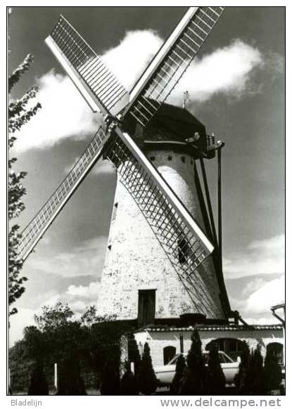 POEKE (O.Vl.) - Molen/moulin - De Hartemeerschmolen In 1977, Kort Na De Restauratie. - Aalter