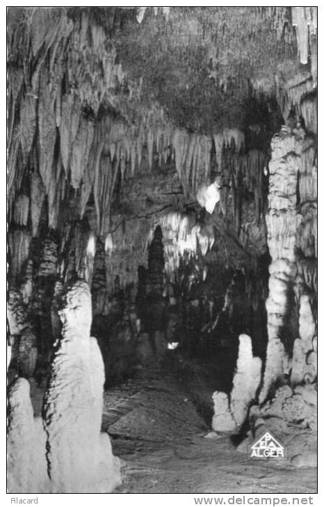11510    Algeria  Grotte  Merveilleuse  (Ziama-Mansouriah)   Le  Grand Couloir  NV - El-Oued