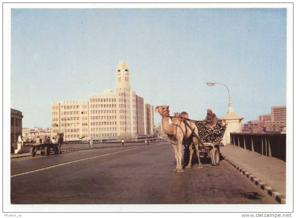 PAKISTAN - KARACHI, Camel Cart - Pakistan