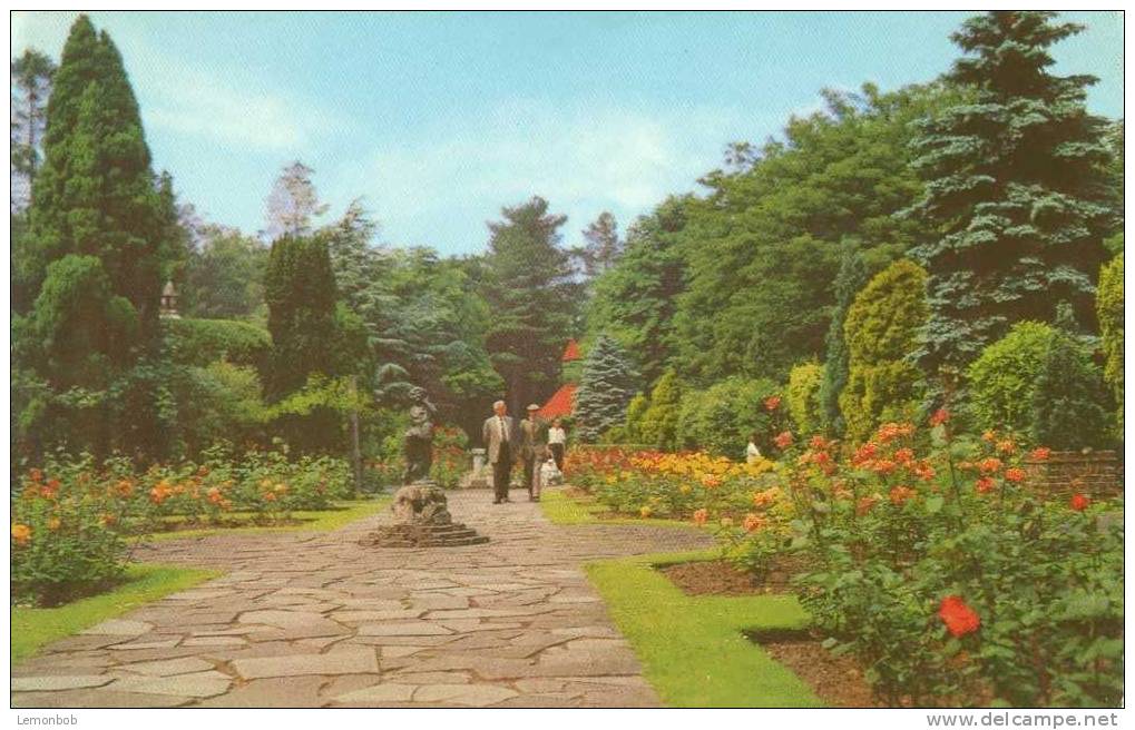 Britain United Kingdom - Town Gardens, Swindon - Old Postcard [P1790] - Other & Unclassified