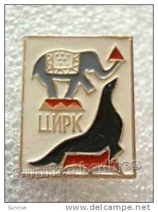 Circus: Elephant And Fur-seal Is Jugglers/ Old Soviet Badge _66_ci3964 - Other & Unclassified