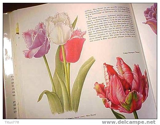 FLORE DES JARDINS Edition GRÜND - Encyclopedieën