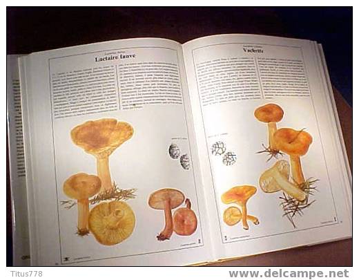 CHAMPIGNONS Edition GRÜND - Enzyklopädien