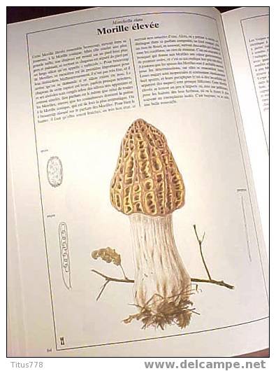 CHAMPIGNONS Edition GRÜND - Encyclopedieën