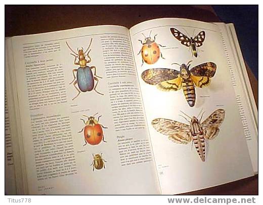 FAUNE ET FLORE D'EUROPE Edition GRÜND - Encyclopédies