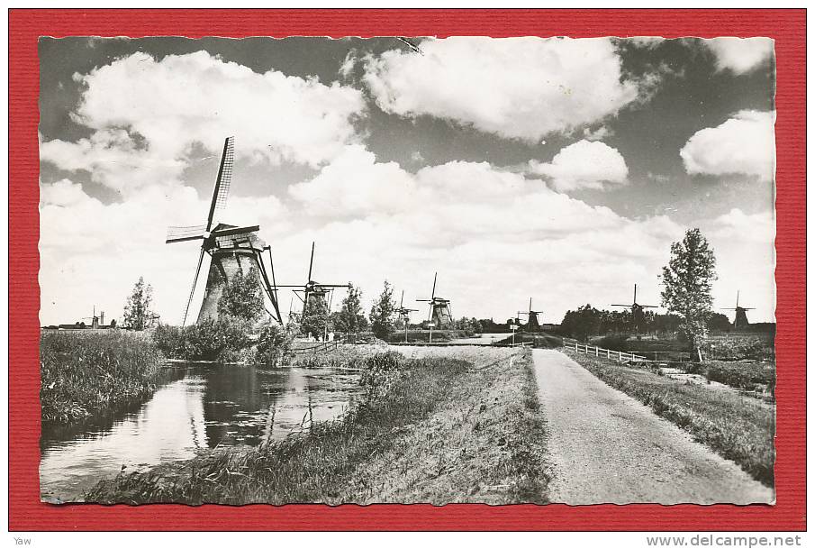 PAESI BASSI HOLLAND 1965  MULINI A VENTO A KINDERDIJK, VICINO ROTTERDAM. VIAGGIATA. - Kinderdijk