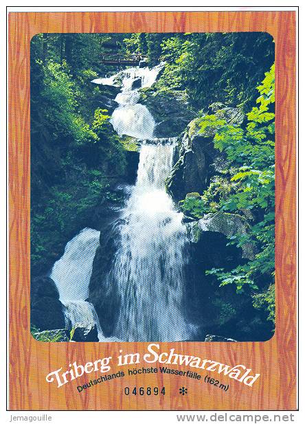 TRIBERG Im Schwarzwald - Deutschlands Höchste Wasserfälle 162 M - 046894 * - 18.7.1979 - D-2 - Triberg