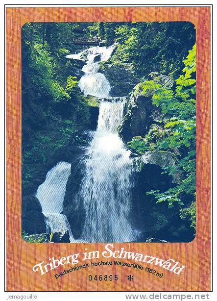 TRIBERG Im Schwarzwald - Deutschlands Höchste Wasserfälle 162 M - 046895 * - 18.7.1979 - D-2 - Triberg