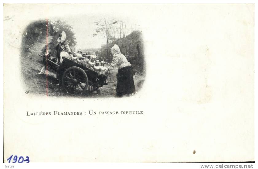 Laitières Flamandes : Un Passage Difficile -1903 - Paysans