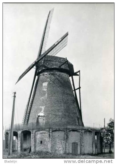 SEMMERZAKE ~ Gavere (O.Vl.) - Molen/moulin - De Stenen Stellingmolen Kort Voor Verwijdering Van Kap En Wieken (±1950) - Gavere