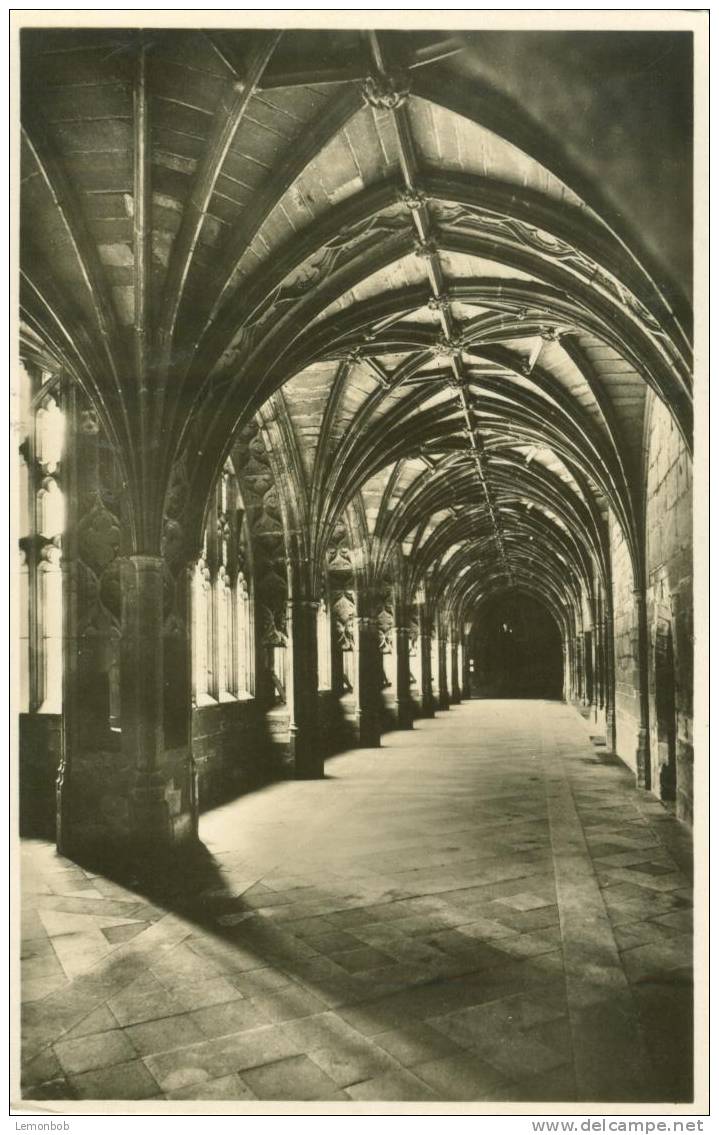 Britain United Kingdom - Worcester Cathedral, The Cloisters - Old Real Photo Postcard [P1820] - Autres & Non Classés